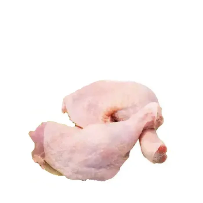 zo-th-1